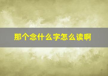 那个念什么字怎么读啊