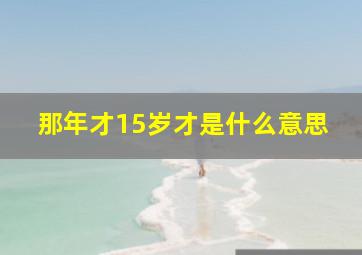 那年才15岁才是什么意思