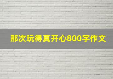 那次玩得真开心800字作文