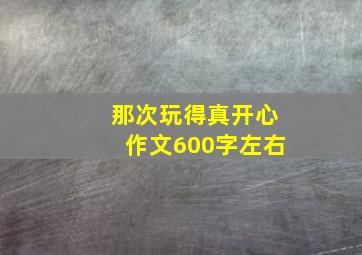 那次玩得真开心作文600字左右