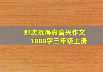 那次玩得真高兴作文1000字三年级上册