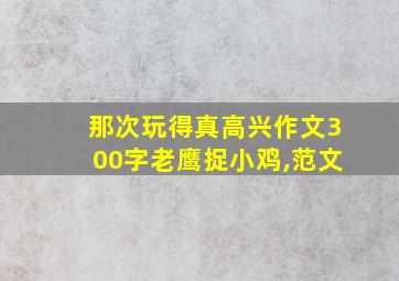 那次玩得真高兴作文300字老鹰捉小鸡,范文