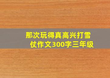 那次玩得真高兴打雪仗作文300字三年级