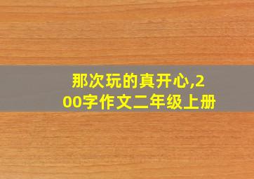 那次玩的真开心,200字作文二年级上册