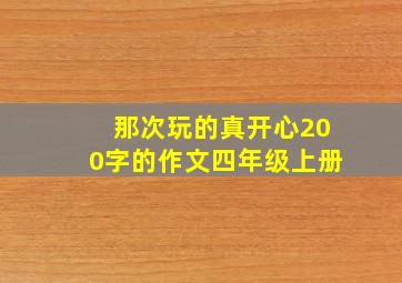 那次玩的真开心200字的作文四年级上册