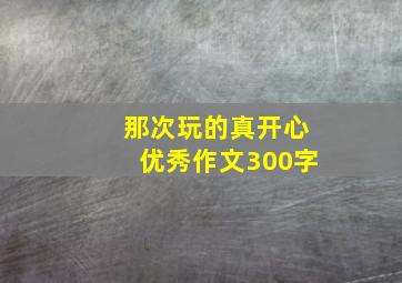 那次玩的真开心优秀作文300字