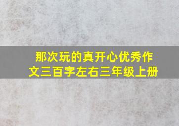 那次玩的真开心优秀作文三百字左右三年级上册