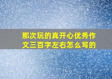 那次玩的真开心优秀作文三百字左右怎么写的