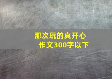 那次玩的真开心作文300字以下