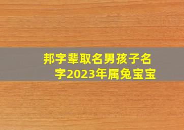 邦字辈取名男孩子名字2023年属兔宝宝