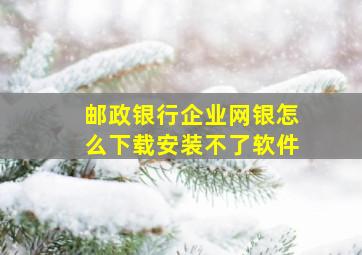 邮政银行企业网银怎么下载安装不了软件