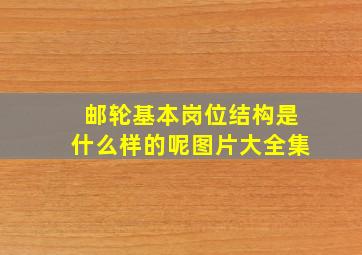 邮轮基本岗位结构是什么样的呢图片大全集