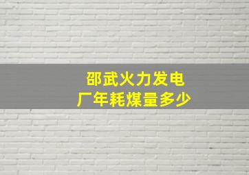 邵武火力发电厂年耗煤量多少