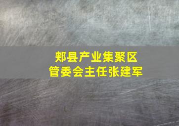 郏县产业集聚区管委会主任张建军