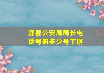 郏县公安局局长电话号码多少号了啊