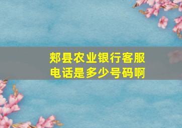 郏县农业银行客服电话是多少号码啊