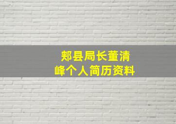 郏县局长董清峰个人简历资料