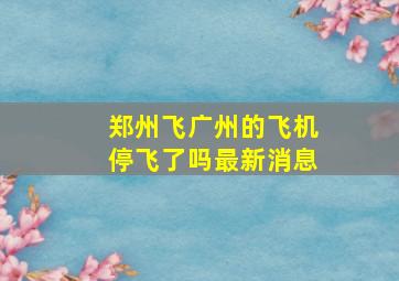 郑州飞广州的飞机停飞了吗最新消息