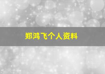 郑鸿飞个人资料