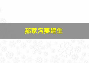 郝家沟要建生