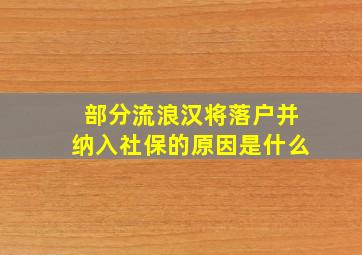 部分流浪汉将落户并纳入社保的原因是什么