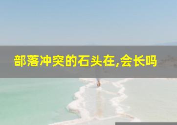 部落冲突的石头在,会长吗