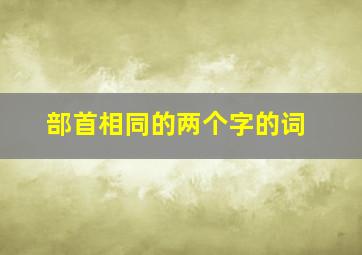 部首相同的两个字的词