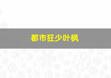 都市狂少叶枫