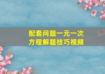 配套问题一元一次方程解题技巧视频