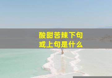 酸甜苦辣下句或上句是什么