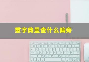 重字典里查什么偏旁