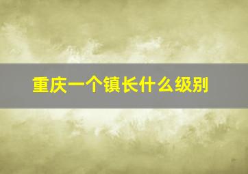 重庆一个镇长什么级别