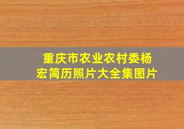 重庆市农业农村委杨宏简历照片大全集图片