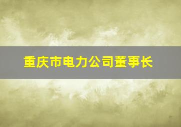 重庆市电力公司董事长