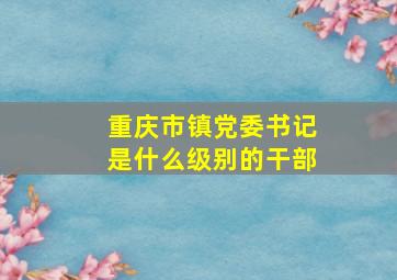 重庆市镇党委书记是什么级别的干部