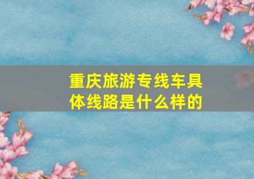 重庆旅游专线车具体线路是什么样的