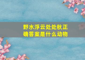 野水浮云处处秋正确答案是什么动物