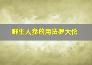 野生人参的用法罗大伦