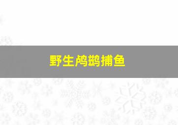 野生鸬鹚捕鱼