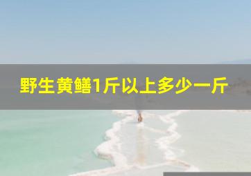 野生黄鳝1斤以上多少一斤