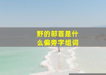 野的部首是什么偏旁字组词