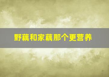 野藕和家藕那个更营养