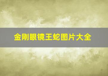 金刚眼镜王蛇图片大全