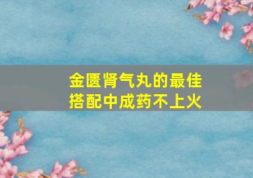 金匮肾气丸的最佳搭配中成药不上火