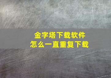 金字塔下载软件怎么一直重复下载