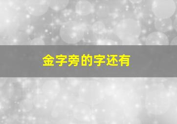 金字旁的字还有