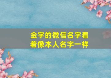 金字的微信名字看着像本人名字一样