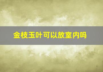 金枝玉叶可以放室内吗