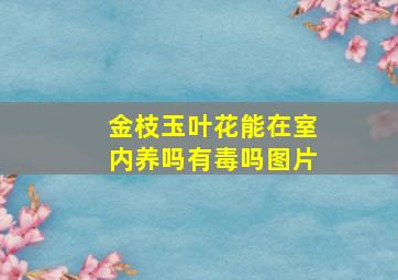 金枝玉叶花能在室内养吗有毒吗图片