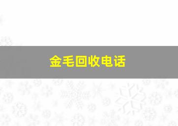 金毛回收电话